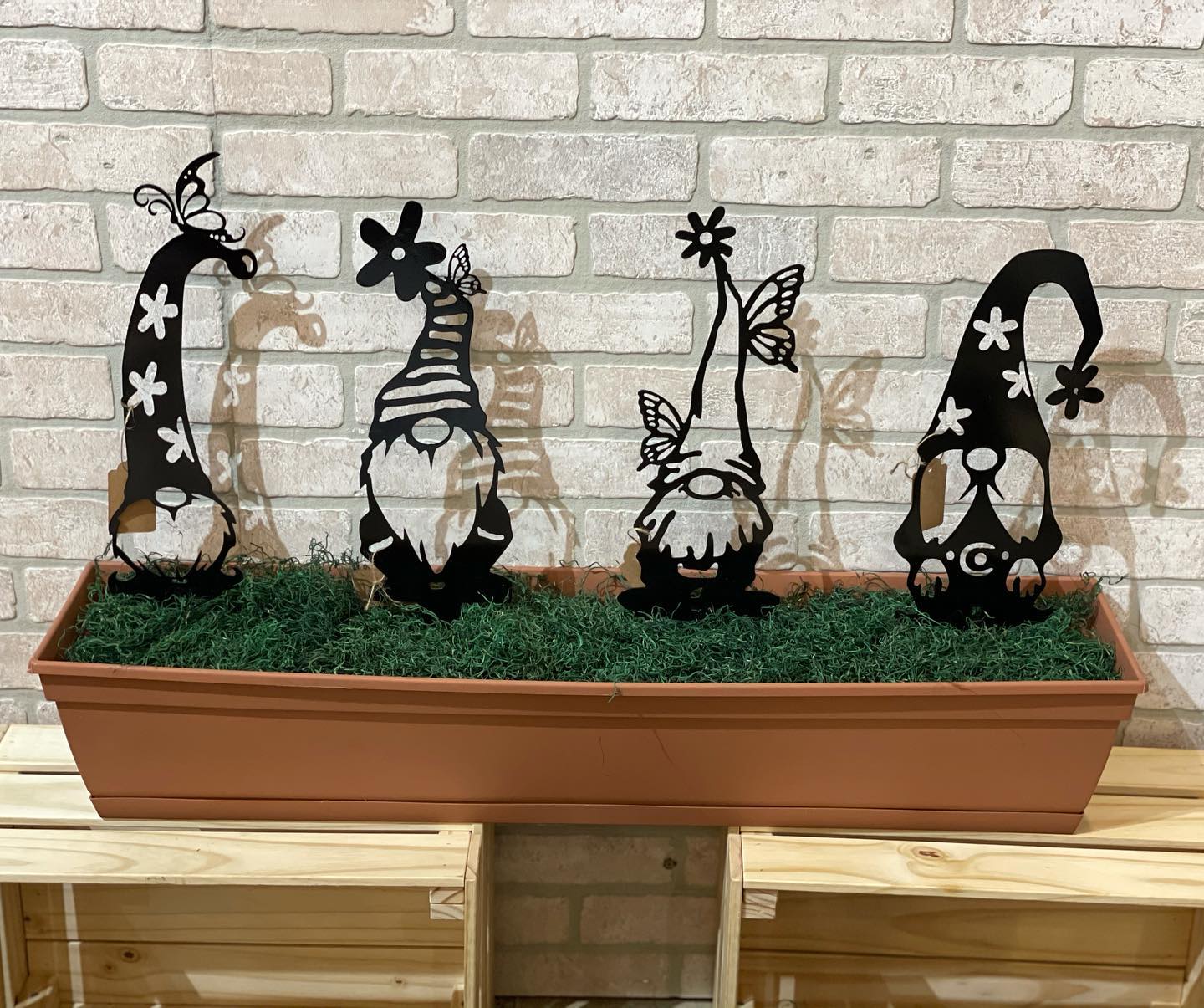 Girl Gnome Set – Crazy Daisys Metal